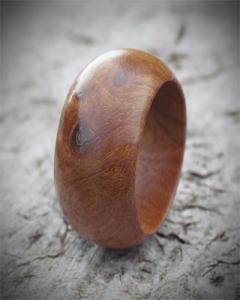 Windfall Burr Elm